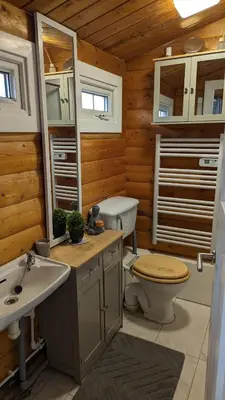 a bathroom with a toilet and a sink at Snowdonia Log cabin in Trawsfynydd