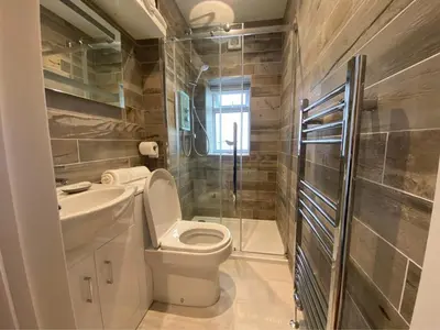 a bathroom with a toilet and a sink and a shower at Ty Cerrig seaside Annexe, New Quay in New Quay