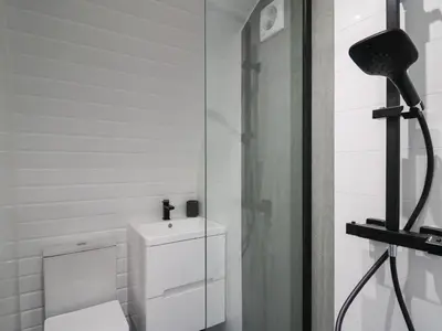 a bathroom with a toilet and a shower at Ceunant in Aberystwyth