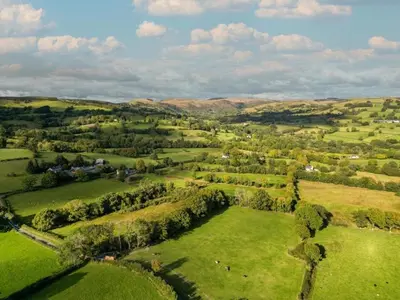 an aerial view of a green field with trees at Berllan Y Bugail Shepherds Hut in Llanwrda