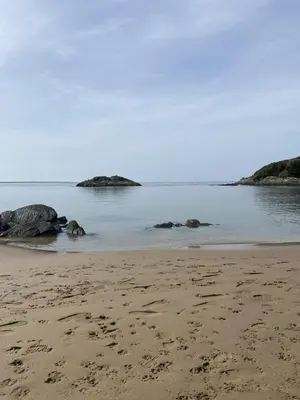 a beach with some rocks in the water at Bron Eryri - Our Cosy House opposite the entrance to Portmeirion! in Mynfford