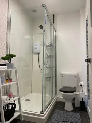 a bathroom with a shower and a toilet at Flat 1 in Lampeter