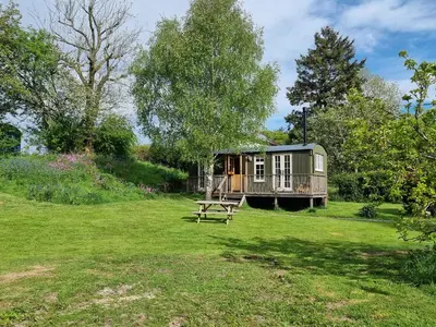 a green cabin in a field with a picnic table at Mucklewick Hollow in Shrewsbury