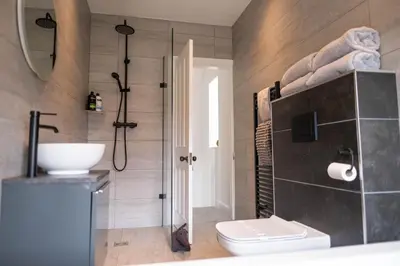 a bathroom with a sink and a toilet and a shower at Rose Hill in Shrewsbury