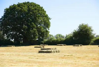 a group of hay bales in a field at Pear Tree Cottage Shropshire in Orleton
