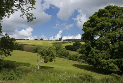 a field of green grass with trees in the foreground at The Timber Barn in Downton