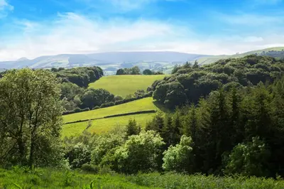 a green field with trees and mountains in the background at Blacksmiths Cottage in Lingen
