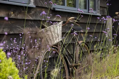 a bike parked next to a building with purple flowers at Broomers Barn in Lane to Richards Castle