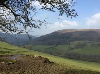 a view of a green field with hills in the background at The Shippen - Open-plan barn conversion, high-spec, stunning views in Norbury