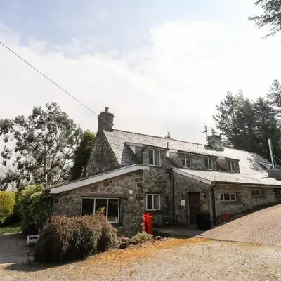 Gilfachwydd