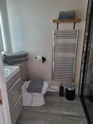 a small bathroom with a toilet and a sink at Grade ll listed holiday home in Llanidloes