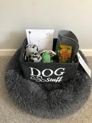 a dog biscuit basket sitting on a carpet at The Annexe at Walnut Tree Cottage in Hope under Dinmore
