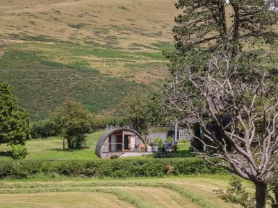 a small house in the middle of a field at Pine Lodge in Llangadog