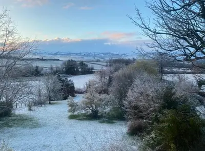 a snow covered field with trees and bushes at Pippin Lodge in Llanwrda