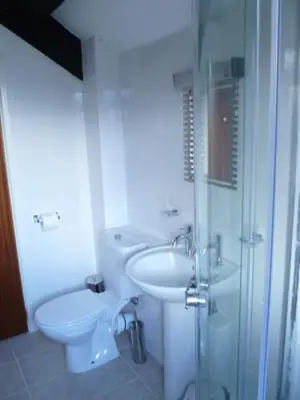 a bathroom with a toilet and a sink and a shower at Belle Vue Hotel in Llanwrtyd Wells