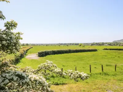 a field of green grass with a fence and flowers at Swn y Nant in Tywyn