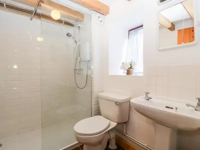 a bathroom with a toilet and a sink and a shower at Halls Mill in Kington