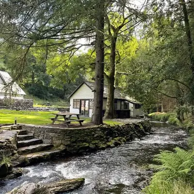 Cuckoo Cabin