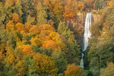 a waterfall in a forest in the fall at Odli Glamping - Deri in Welshpool