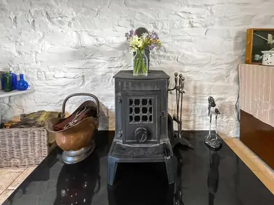 a vase of flowers sitting on top of a stove at Meadow Barn in Shelve