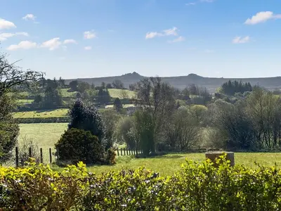 a field of green grass with trees and a fence at Meadow Barn in Shelve