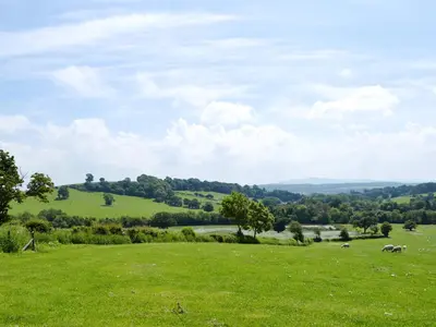 a green field with two animals grazing in the grass at St Vincent in Plaish