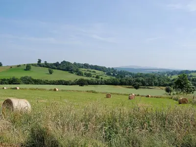 a herd of hay bales grazing in a field at St Vincent in Plaish