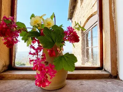 a vase filled with flowers sitting on a window sill at Titchbourne Cottage in Clee Saint Margaret