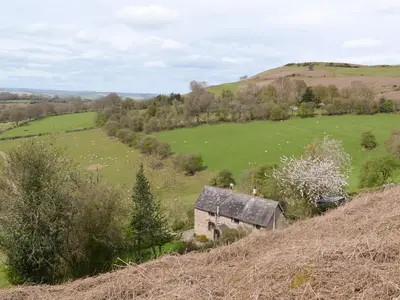 a small house in the middle of a field at Titchbourne Cottage in Clee Saint Margaret