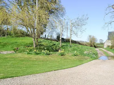 a garden with flowers in the grass next to a road at Oak Barn Cottage in Trefonen