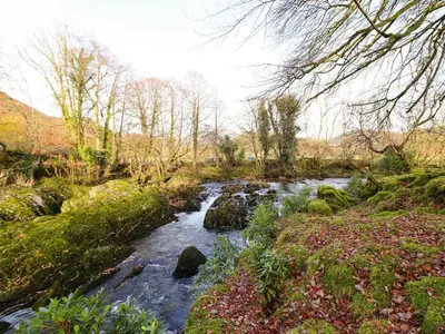a stream of water with rocks in a forest at Pen y Bont in Machynlleth