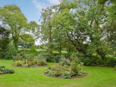a garden with many different types of plants at Bwthyn in New Quay