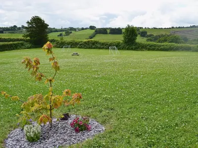 a plant in a field with a soccer field at Beudy Bach-Oh5 in Dihewid