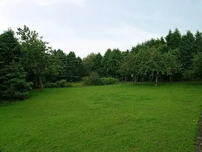 a large green field with trees in the background at Penybryn in Llansadwrn