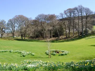 a green field with flowers and a tree in it at Crogen Wing in Llandrillo