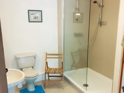 a bathroom with a shower and a toilet and a sink at Erw Goed Hen Stabl in Arthog