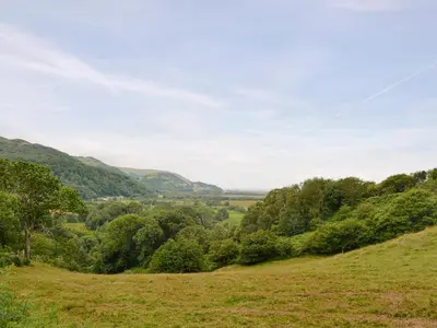 a grassy hillside with trees and mountains in the background at Erw Goed Old Barn in Arthog