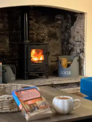 a fireplace with a stove in a living room at The Cottage at Sychnant Farm in Talgarth