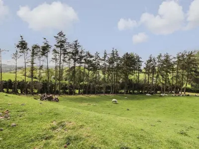 a field with animals laying in a grass field at Ysgubor Fachwen in Newtown