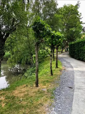 a path with trees on the side of a river at Bryn Mynach Annex in Barmouth