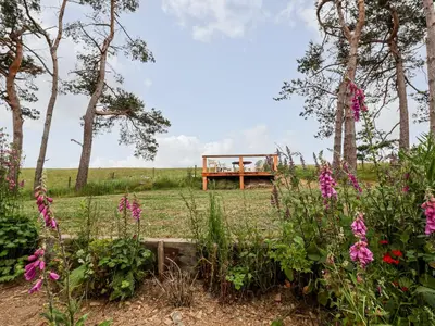 a picnic table in the middle of a field with flowers at Y Caban in Llangollen