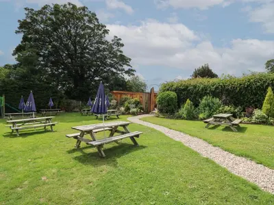 a group of picnic tables with umbrellas in the grass at Pansi in Welshpool