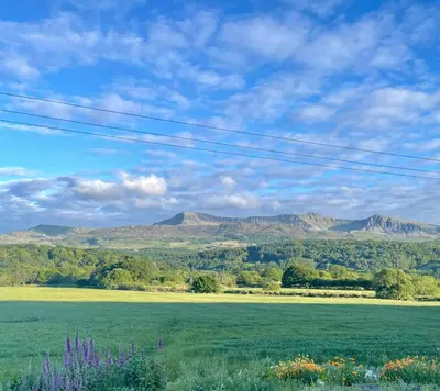 a field of grass with mountains in the background at Cwtch Cader Shepherds Hut in Llanelltyd