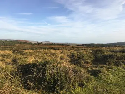 a field of grass with mountains in the background at Bechan Brook Hut in Bettws Cedewain