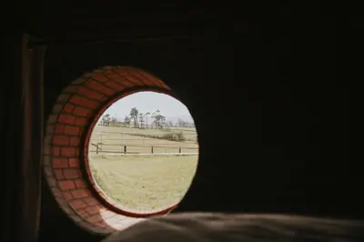 a view of a field through a round window at Otters View in Rhayader