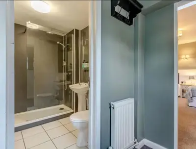 a bathroom with a toilet and a shower and a sink at Curly Tail Accommodation in Bishops Castle