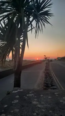 a palm tree on the side of a road at sunset at Seasalt Loft in Barmouth