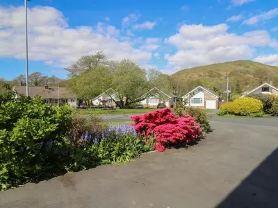a bunch of flowers in a parking lot at 24 Dolithel in Tywyn