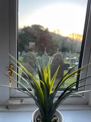 a potted plant sitting on a window sill at Yew Tree Cottage, 3 bedroom, 4 Church Row Defynnog in Devynock