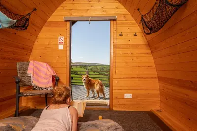 a woman sitting in a room with a dog looking out the door at Ty Grug Pods in Bryngwyn